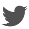 twitter icon v1